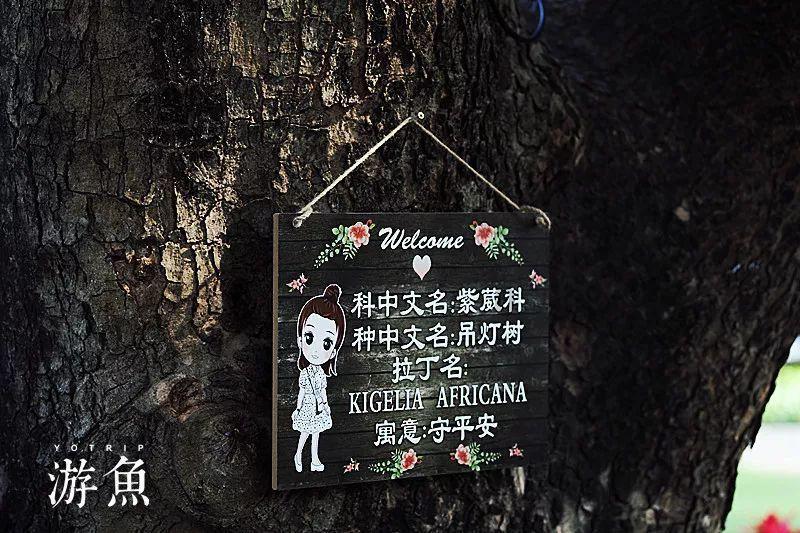 港南区湛江镇实现整村授信全覆盖