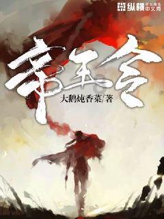 热带假日